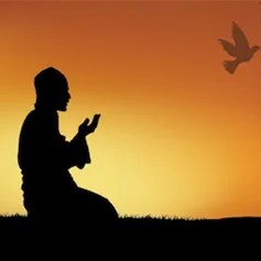 المراقبة والمحاسبة