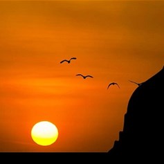 حفظ الأمن والصحة في الإسلام