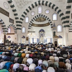 القضيّة كيف تربح الأمّة كلّها!