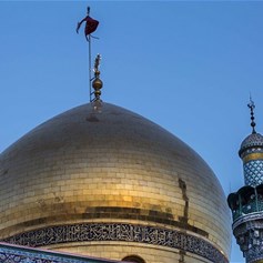 في مولد السيِّدة زينب (ع)