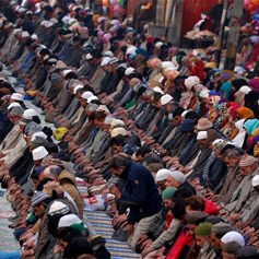 المسلمون أسرة واحدة.. فحرام الإساءة إليها