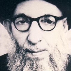السيّد محسن الحكيم (قده).. مرجعيّة الفقهاء