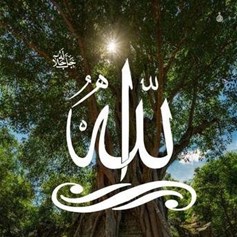 هل يخلق الله مثله؟!