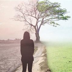 الأمل من خلال النظرة الواقعيّة إلى الحياة