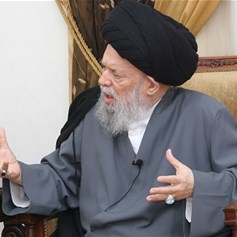العلّامة السيّد محمد حسين فضل الله.. مرجع ومجتهد أيضاً