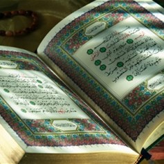 القرآن يحثّ المستضعفين على الثّورة