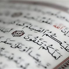 ردُّ العدوانِ والإساءةِ حقٌّ شرطَ العدلِ