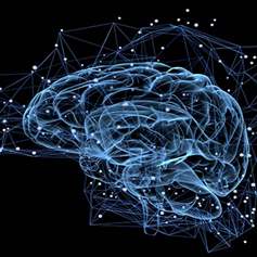 The value of the mind in our life 