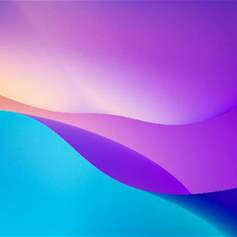 Sexual Relations in Islam 