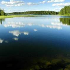 "Let there be No Compulsion in Religion": Its Sense and Signification 