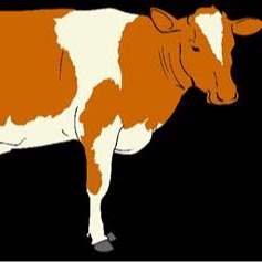 Is Slaughtering Animals Inhumane? 