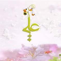 ولادة الإمام علي بن أبي طالب (ع)