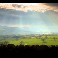 The Significance of Words in Exhortation and Education