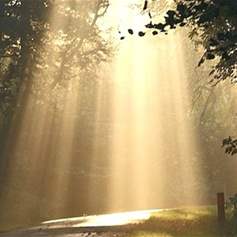 The Duty of Sincere Advice and the Prohibition of Deceit - 22/08/2003