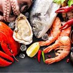 Two Revised Fatwas (Eating Sea Food, and Thin Adhesive Substances)