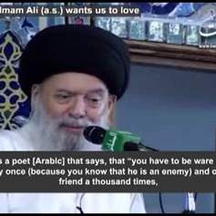  How Imam Ali (a.s.) wants us to love 