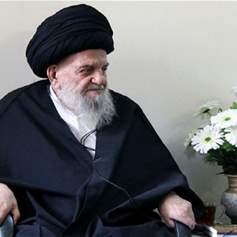 المرجع الديني السيد محمد عزالدين الحسيني الزنجاني