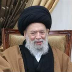 السيد فضل الله: هندسة الجسر بين أصالة النّصّ وحتميَّة الدَّولة الحديثة