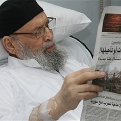 الفكر السّياسي عند السيِّد فضل الله