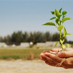 الشخصية الرسالية وقيمة العطاء