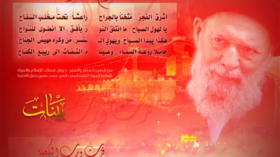 ذكرى شهادة أمير المؤمنين(ع)