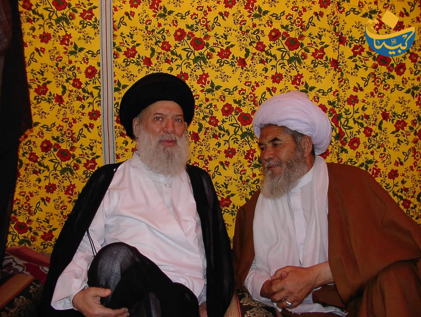 2003 (5)