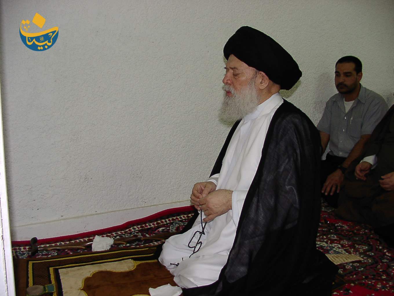 2003 (12)