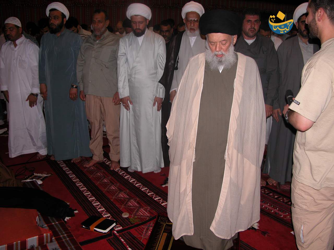 2006 (3)